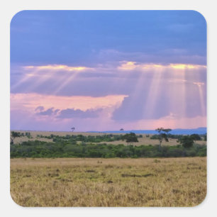 Die Sonnenstrahlen am Masai Mara. Quadratischer Aufkleber