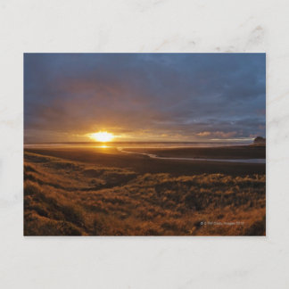 Die Sonnenterrasse über Tasman Sea und Piha Beach, Postkarte