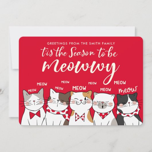 Die sonnige Jahreszeit, um ein frohes Foto Urlaub (Vorderseite)