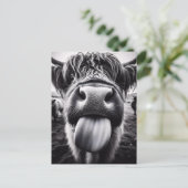 Die sonnige Kuh schwarz und weiß Postkarte (Stehend Vorderseite)