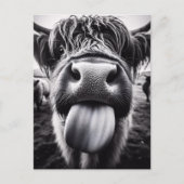 Die sonnige Kuh schwarz und weiß Postkarte (Vorderseite)