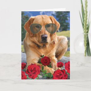 Die sonnigen Rose sind Red Gedicht Golden Labrador Karte