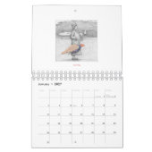 Die sonnigen Tiere des Pundamentalisten Kalender (Jan 2027)