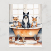 Die sonnigen Tiere Postkarte (Vorderseite)