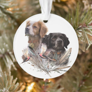 Die Spaniels der Bretagne, die Bretagne, Ornament