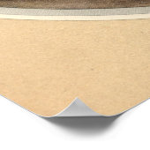 DIE SPANISCHEN COPRIS - Insektenbuch-Illustration Poster (Ecke)