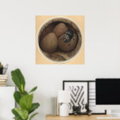 DIE SPANISCHEN COPRIS - Insektenbuch-Illustration Poster (Heimbüro)