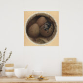 DIE SPANISCHEN COPRIS - Insektenbuch-Illustration Poster (Küche)