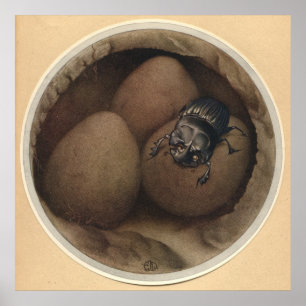 DIE SPANISCHEN COPRIS - Insektenbuch-Illustration Poster