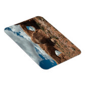 Die Spektakel, Nord- und Südfenster, Arches NP Magnet (Rechte Seite)
