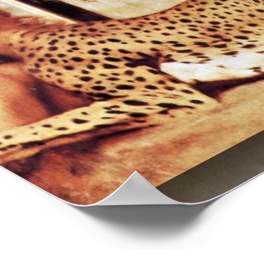 Die Sphinx oder die Kleider von Fernand Khnopff Poster (Ecke)