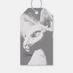 Die Sphynx Cat Frischkätzchen Schwarz-weiße Kuns Geschenkanhänger
