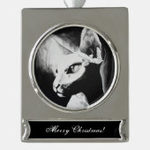 Die Sphynx Katzenwelse Schwarz-weiße Kunst Banner-Ornament Silber (Vorderseite)