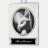 Die Sphynx Katzenwelse Schwarz-weiße Kunst Banner-Ornament Silber (Links)