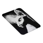 Die Sphynx Katzenwelse Schwarz-weiße Kunst Magnet (Rechte Seite)