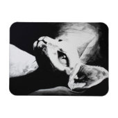 Die Sphynx Katzenwelse Schwarz-weiße Kunst Magnet (Horizontal)