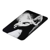 Die Sphynx Katzenwelse Schwarz-weiße Kunst Magnet (Linke Seite)