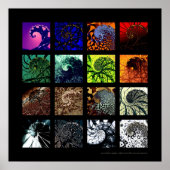 Die Spiralvariationen Poster (Vorne)