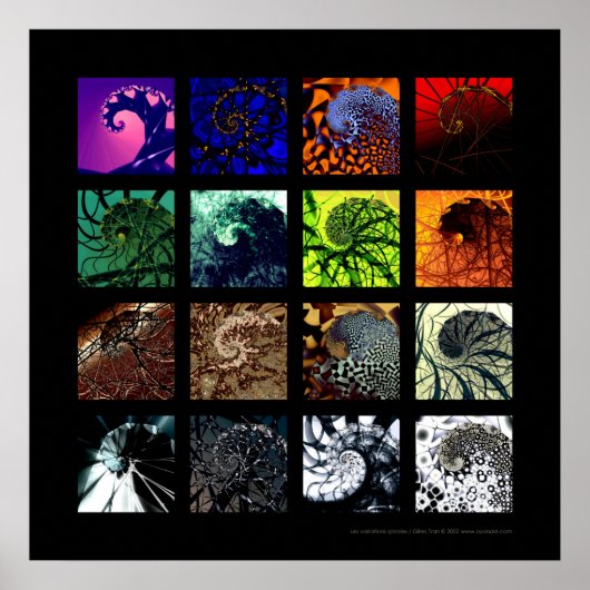 Die Spiralvariationen Poster (Vorne)