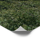 Die Spitze der Smokies Poster (Ecke)