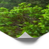 Die Spitze des Pali Lookout Poster auf Oahu (Ecke)