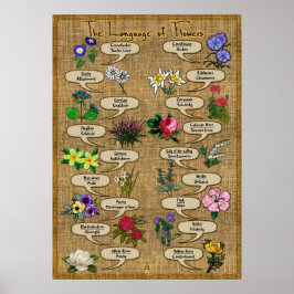 Die Sprache der Blume Poster
