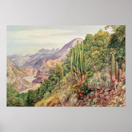 Die Sprachenstreams in der Cordellera, Chile Poster (Vorne)