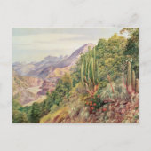 Die Sprachenstreams in der Cordellera, Chile Postkarte (Vorderseite)