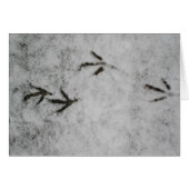 Die Spuren des Schnees (Vorderseite (Horizontal))