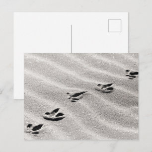 Die Spuren im Foto Sand Nature Postkarte
