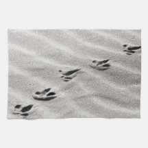 Die Spuren im Sand-Foto