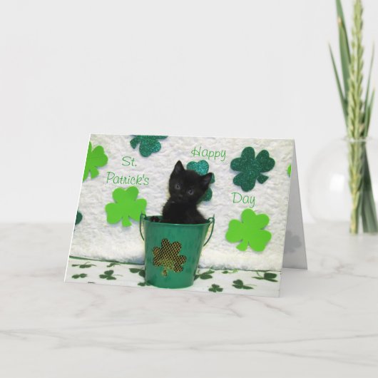 Die St. Patrick's Day Cat Card des Jacks beherrsch Karte (Vorderseite)