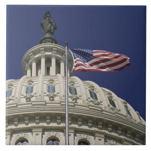 Die Staat-Hauptstadt, Washington, DC Fliese (Vorderseite)