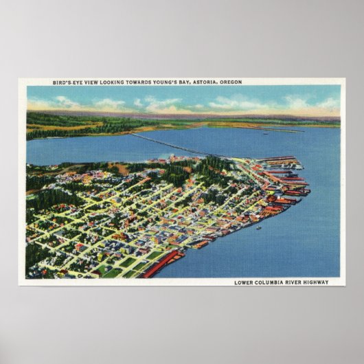 Die Stadt mit Blick auf die Bucht von Young Poster (Vorne)
