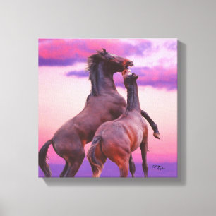 Die Stallions, die Sonnenaufgang spielen, dehnten Leinwanddruck