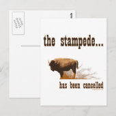 Die Stampede wurde abgesagt Postkarte (Vorne/Hinten)