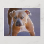 Die Stance Postkarte (Vorderseite)