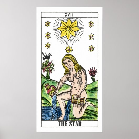 Die Star-Tarot-Karte Poster (Vorne)