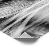 Die Stare Poster (Ecke)