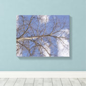 Die stattige Indiana Sycamore Leinwanddruck (Insitu (Holzboden))