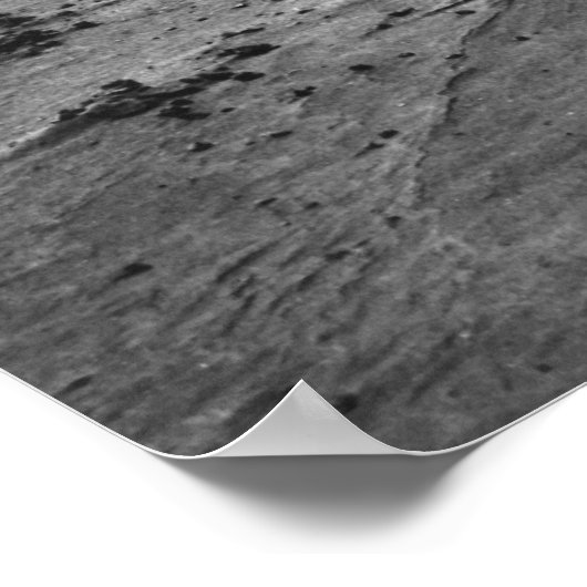 Die Staubschale Poster (Ecke)