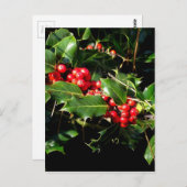 Die Stechpalme und der Efeu Postkarte (Vorne/Hinten)