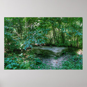 Die Steinbank Poster