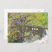 Die Steinbrücke Postkarte (Vorne/Hinten)
