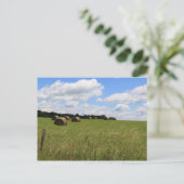 Die Steine des Sommers 2 Postkarte (Stehend Vorderseite)