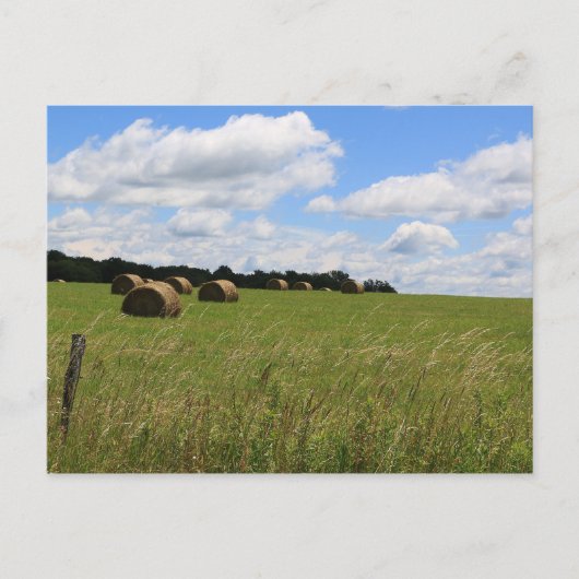 Die Steine des Sommers 2 Postkarte (Vorderseite)