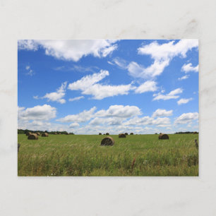 Die Steine des Sommers 3 Postkarte