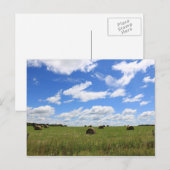 Die Steine des Sommers 3 Postkarte (Vorne/Hinten)