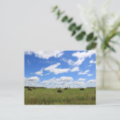 Die Steine des Sommers 3 Postkarte (Stehend Vorderseite)