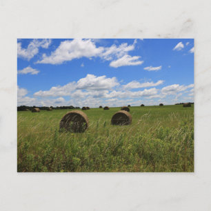 Die Steine des Sommers Postkarte